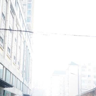 黑白模特