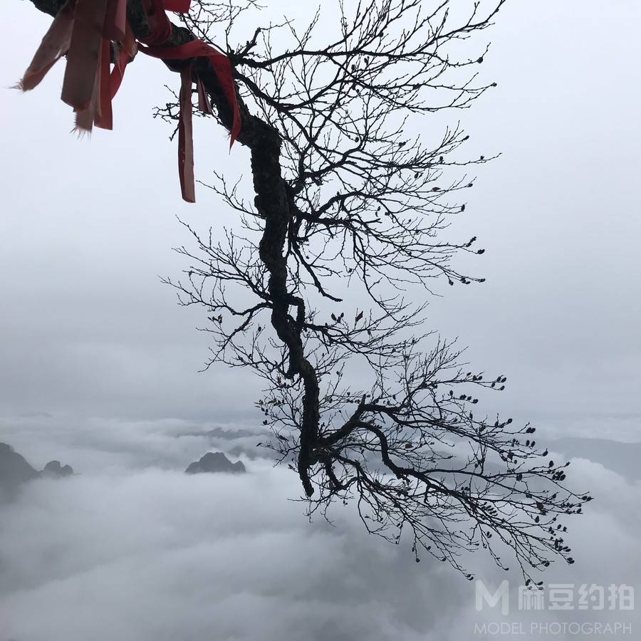 纪实模特