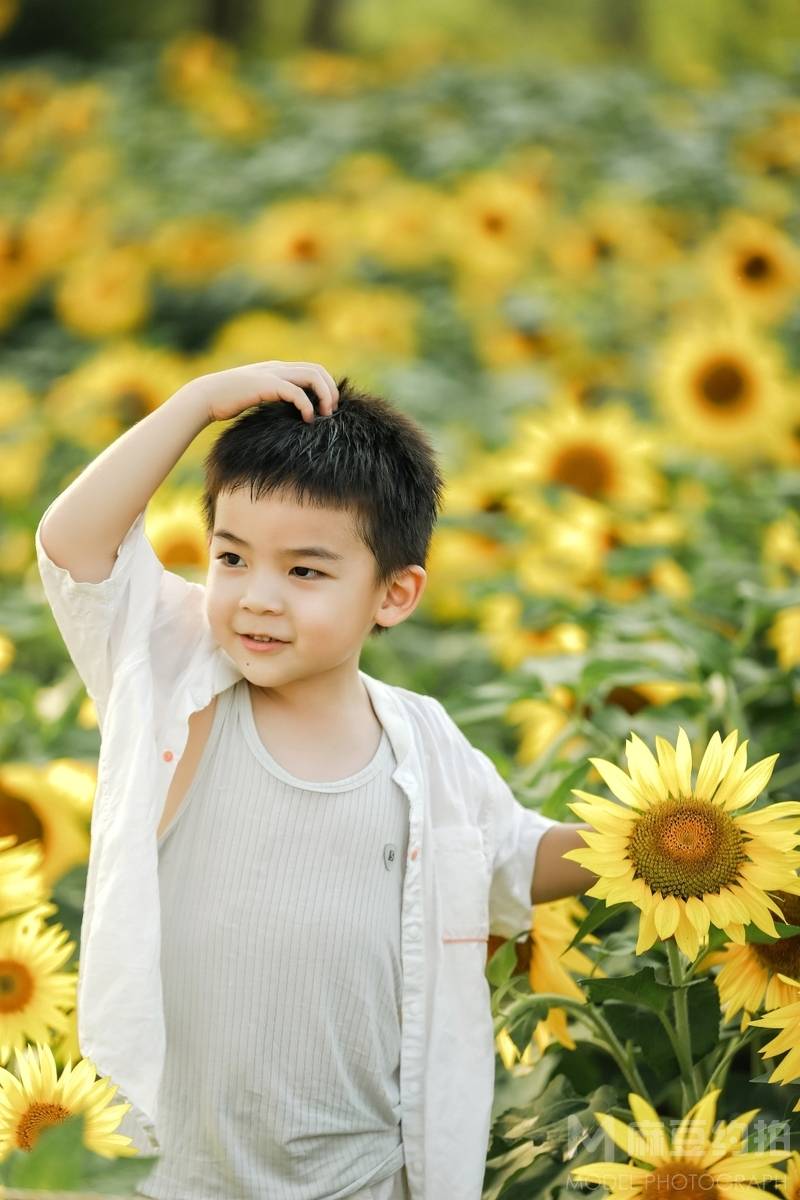 孕照模特