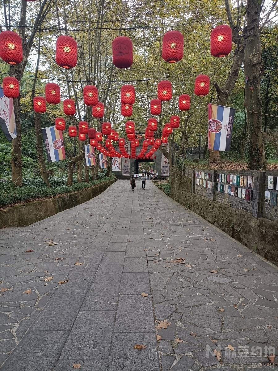 民国模特