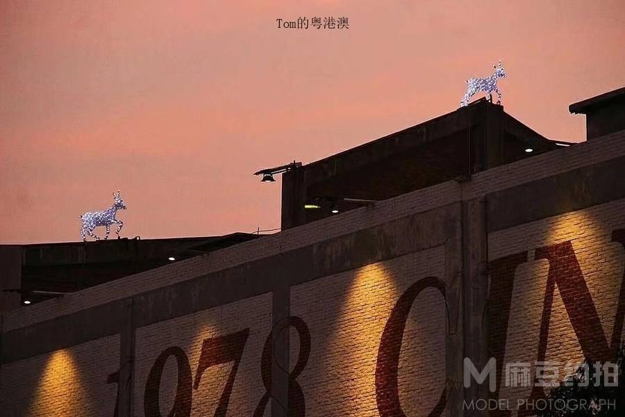 纪实模特