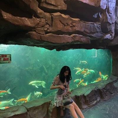 淘宝模特