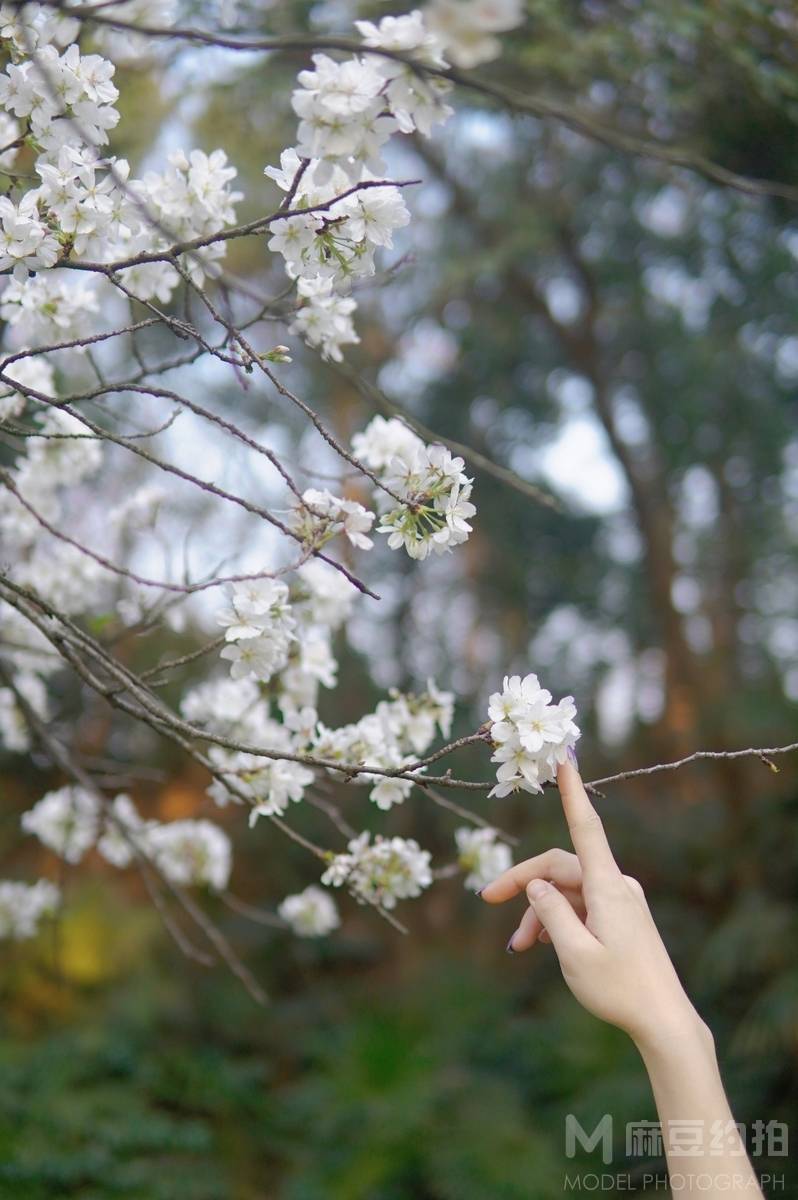 森系模特