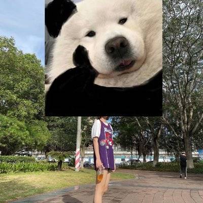 复古模特