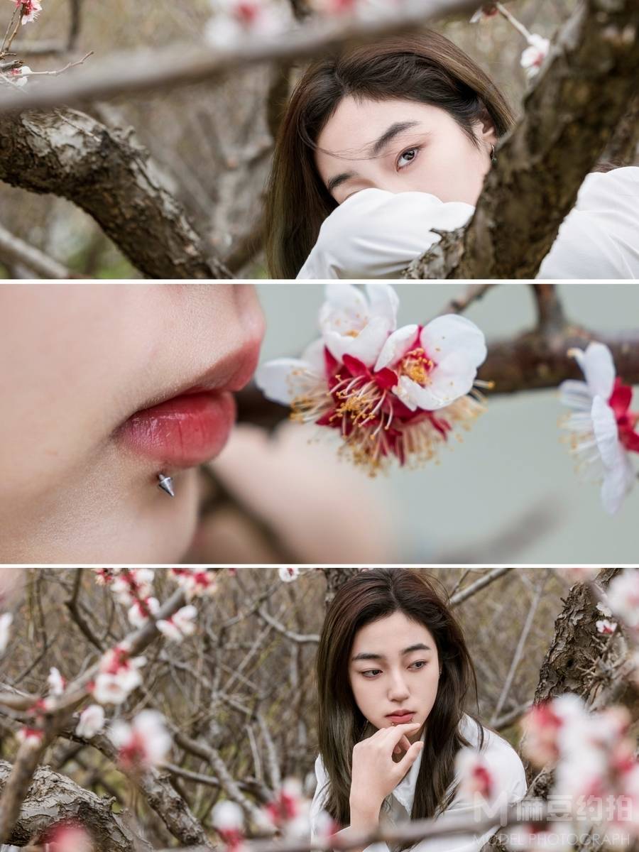 清新模特