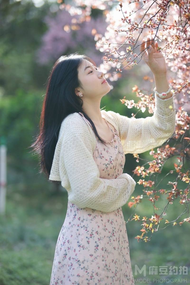 清新模特