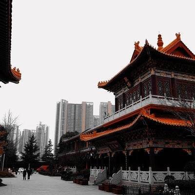 黑白模特
