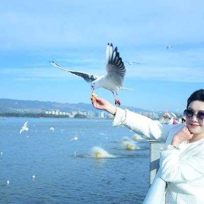 清新模特