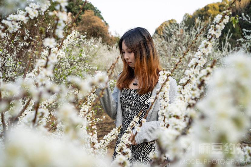 清新模特