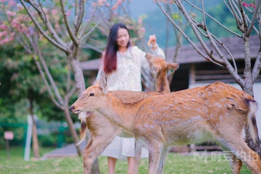 森系模特