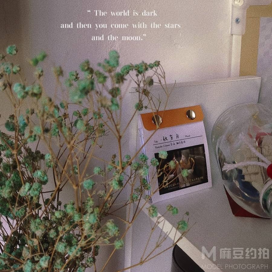 纪实模特
