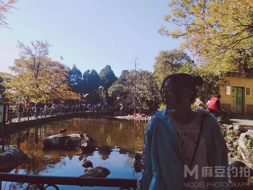 韩系模特