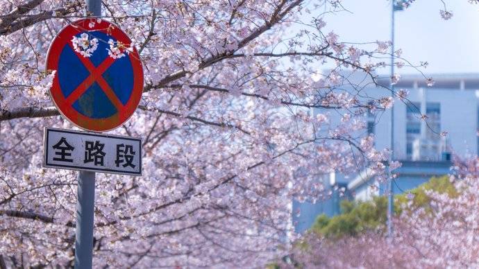 同济大学四平路校区