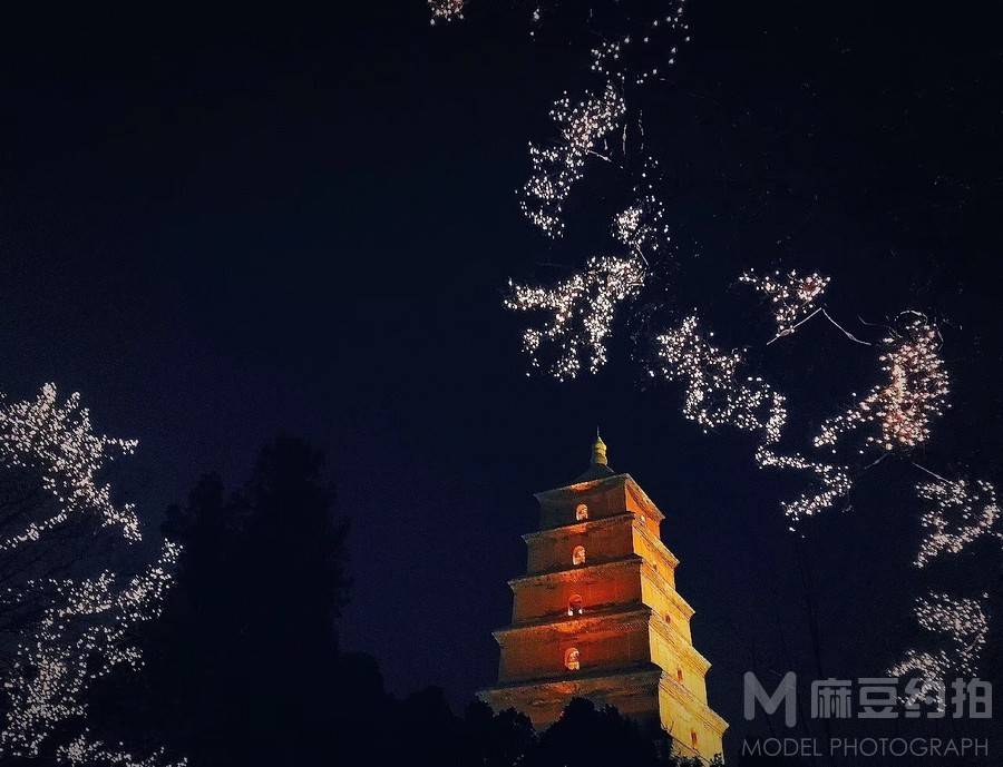 胶片模特