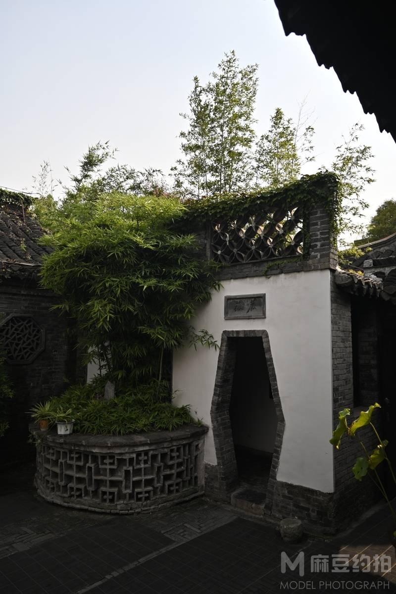 纪实模特