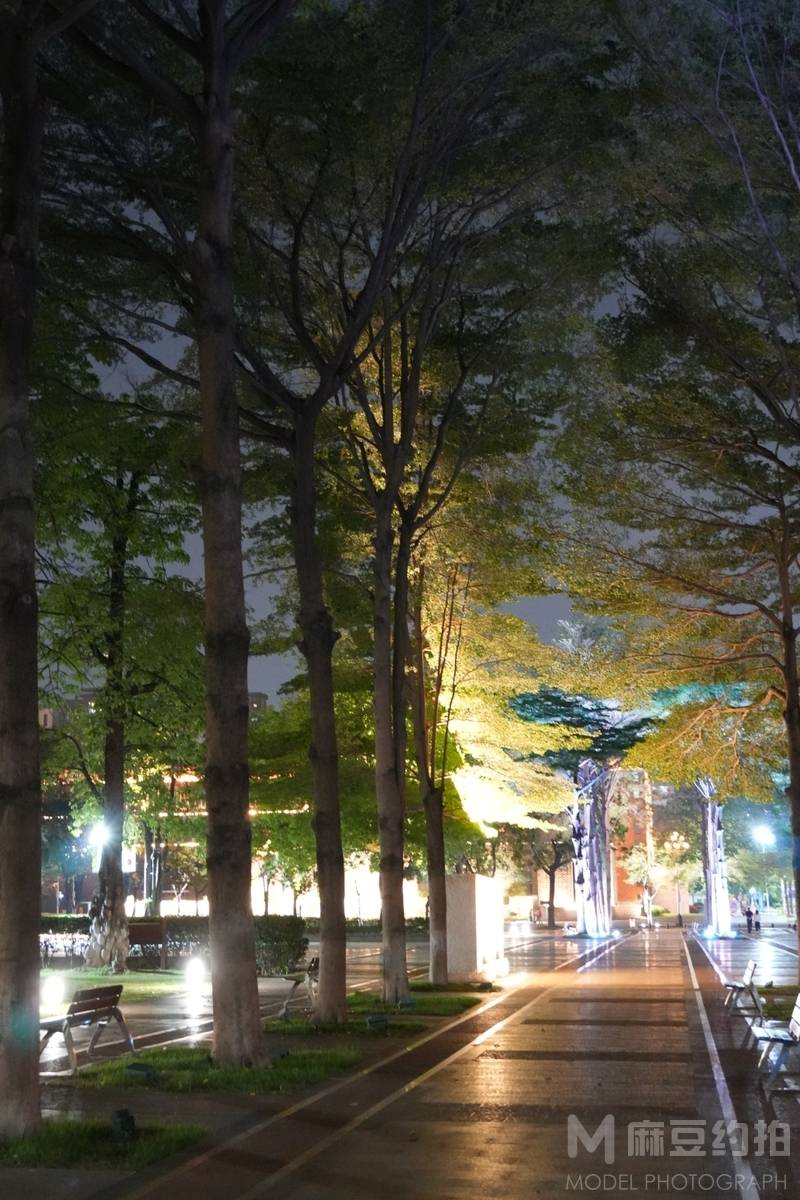 夜景模特