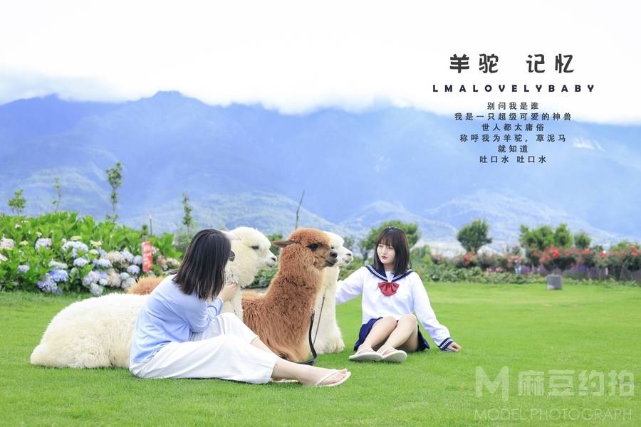 日系模特