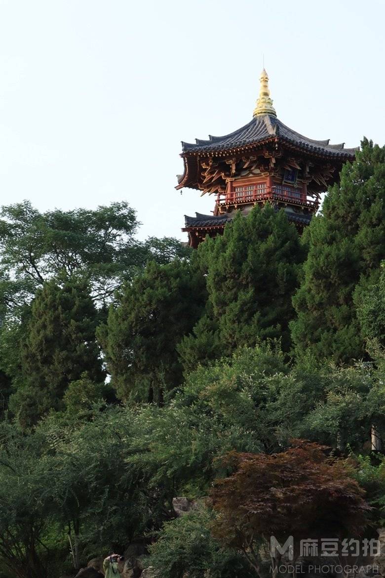 纪实模特