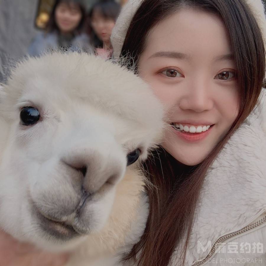 清新模特
