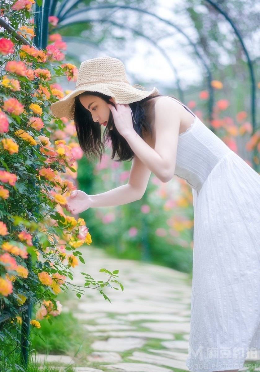清新模特