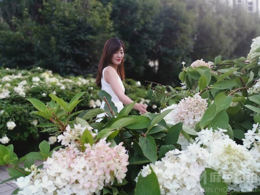韩系模特