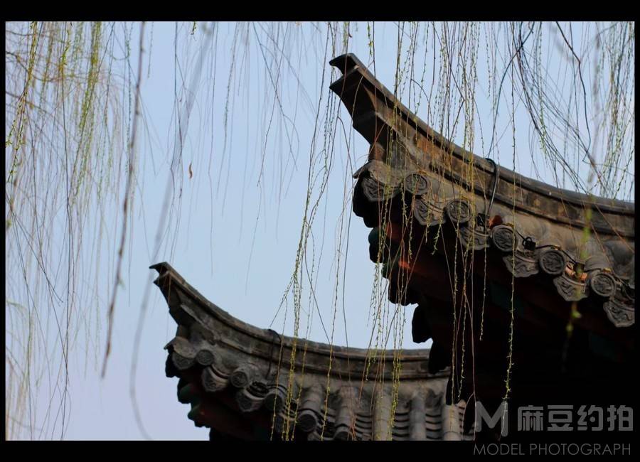纪实模特