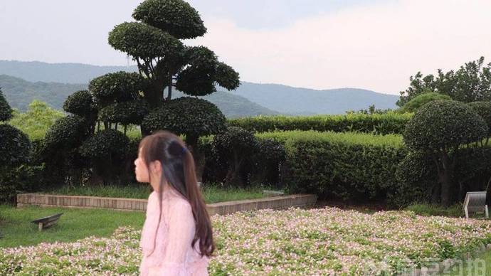 通州台湖森林公园