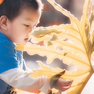 儿童摄影模特