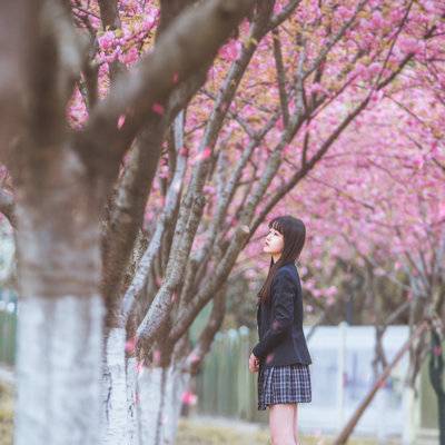 校园模特