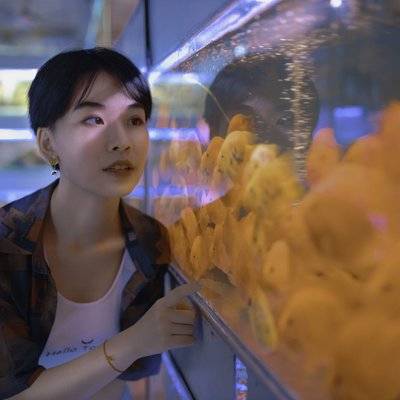 校园模特