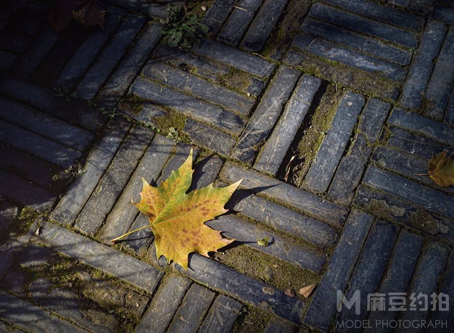 胶片模特