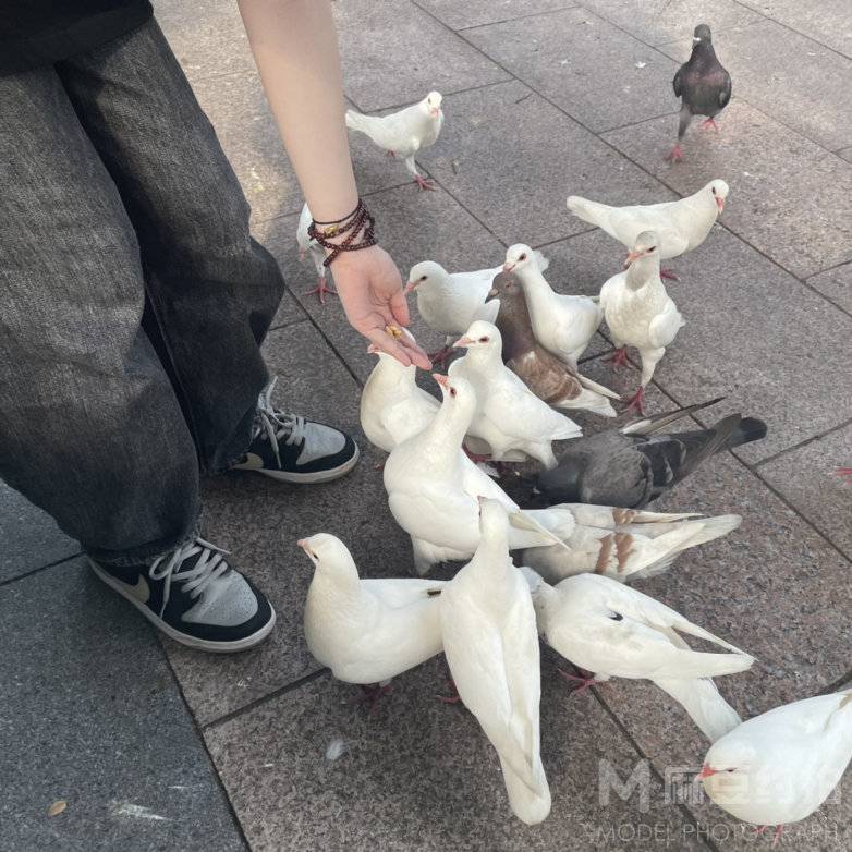 淘宝模特