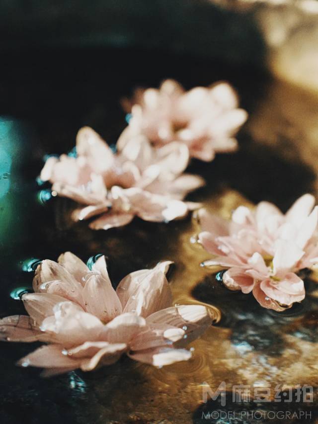 旗袍模特