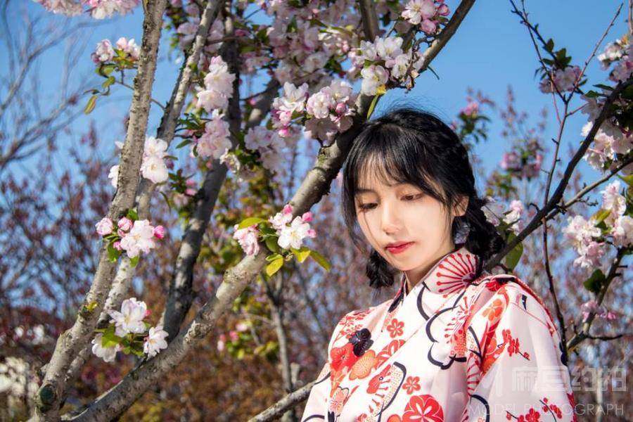 和服模特