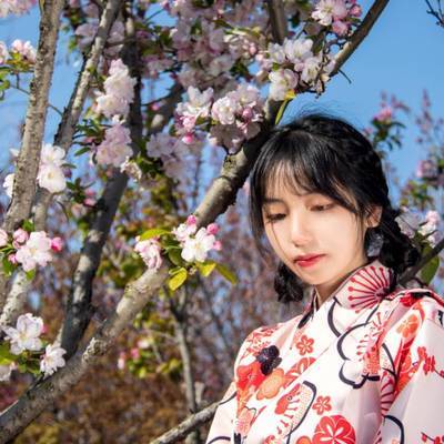 和服模特
