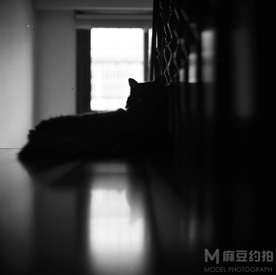 胶片模特