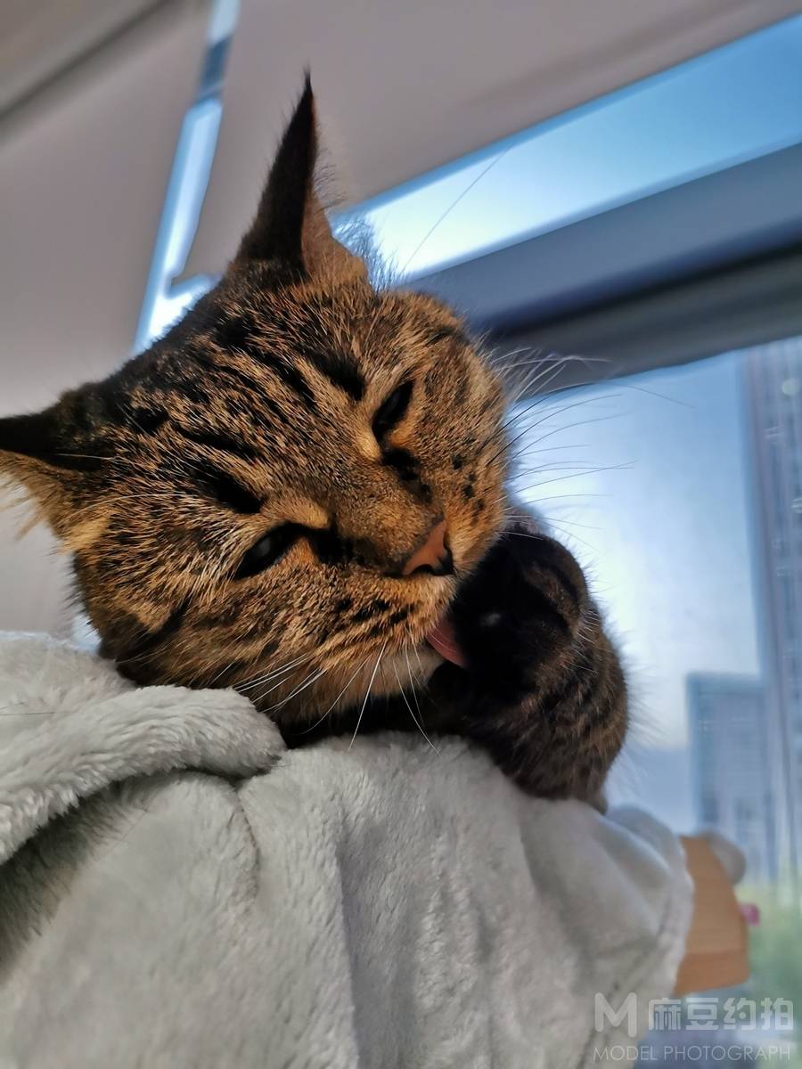 复古模特