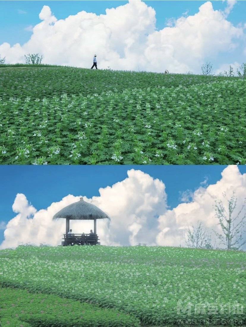 森系模特