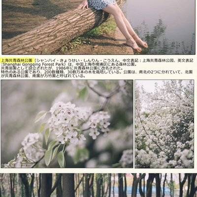 日系模特