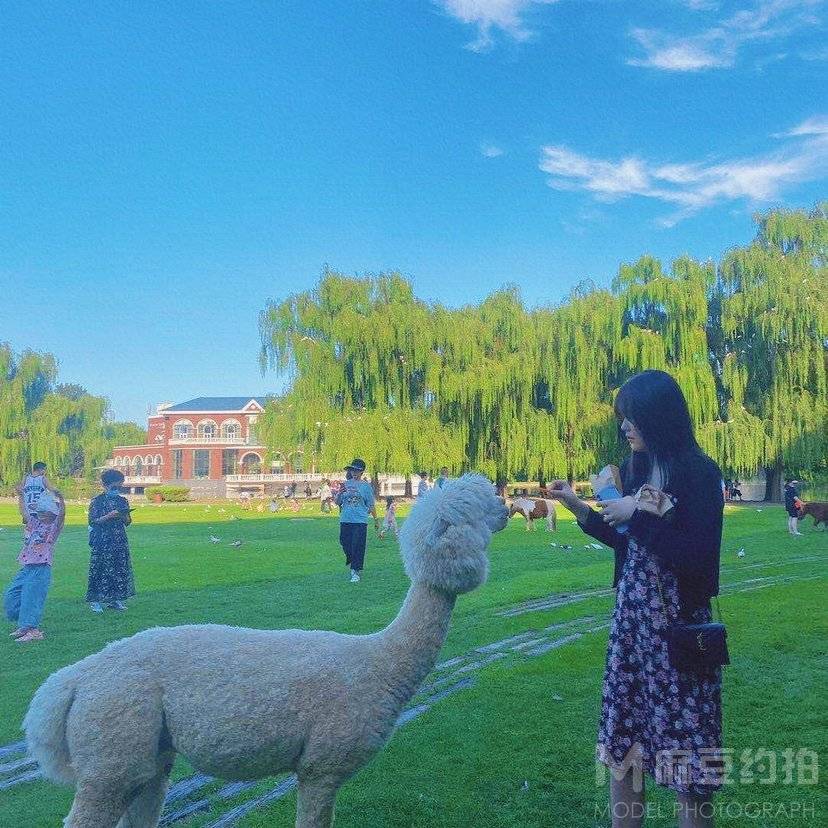 校园模特