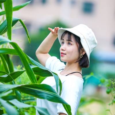清新模特
