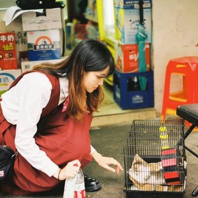胶片模特