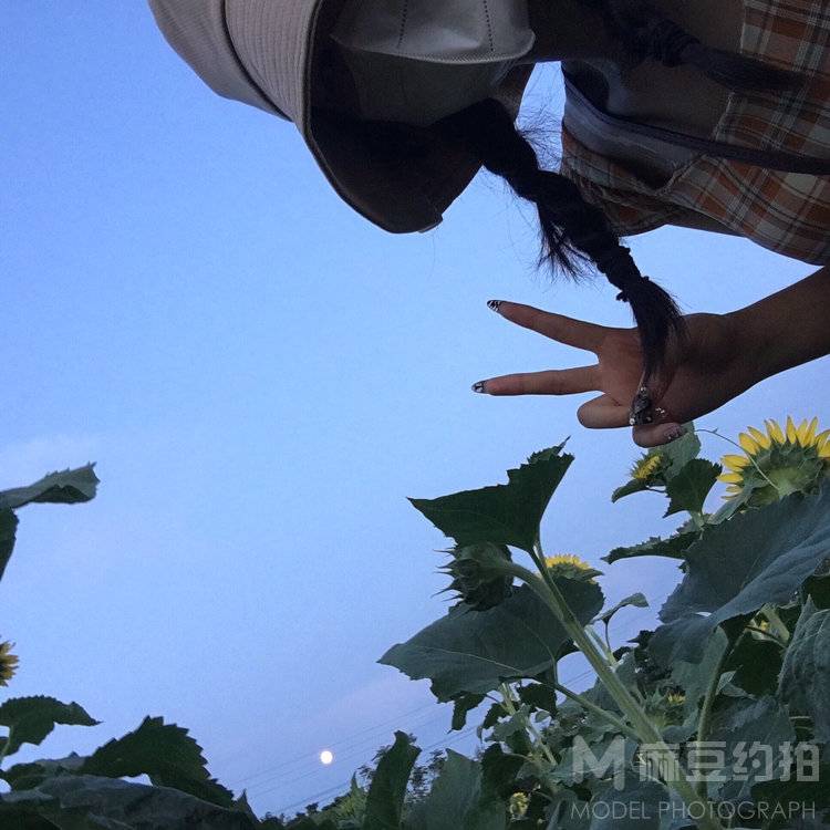 清新模特