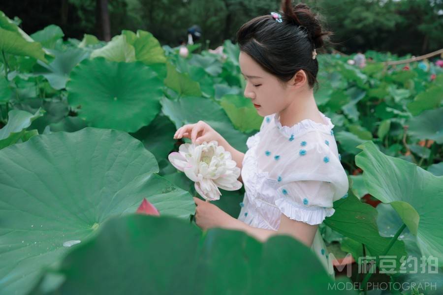 清新模特