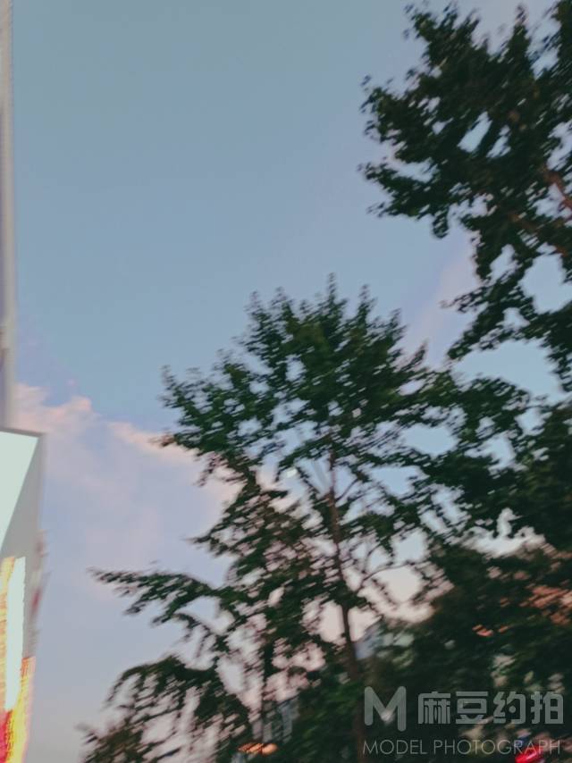 纪实模特