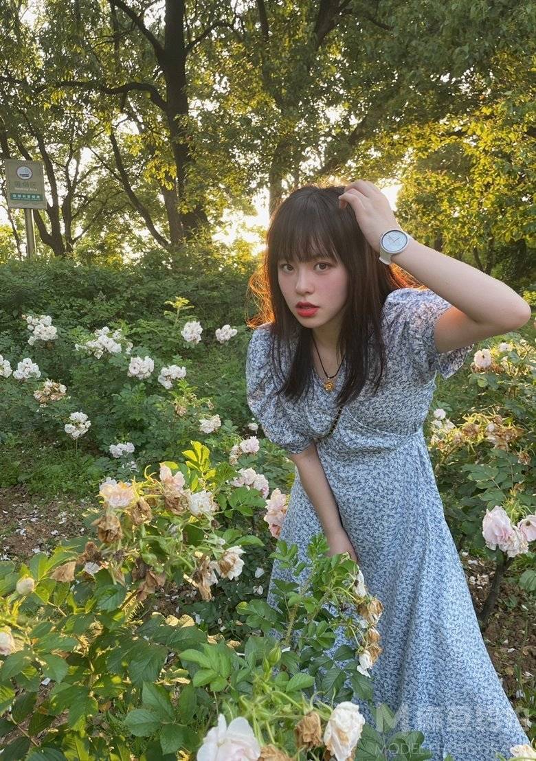 清新模特