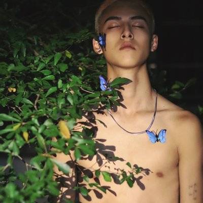 欧美模特
