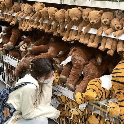 韩系模特