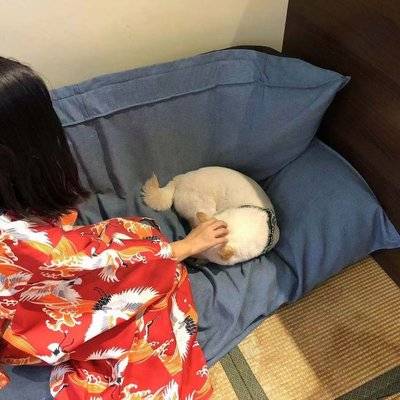 和服模特