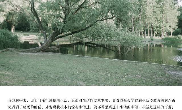 共青森林公园